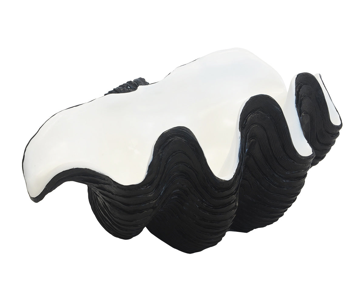 Giant Clam Shell