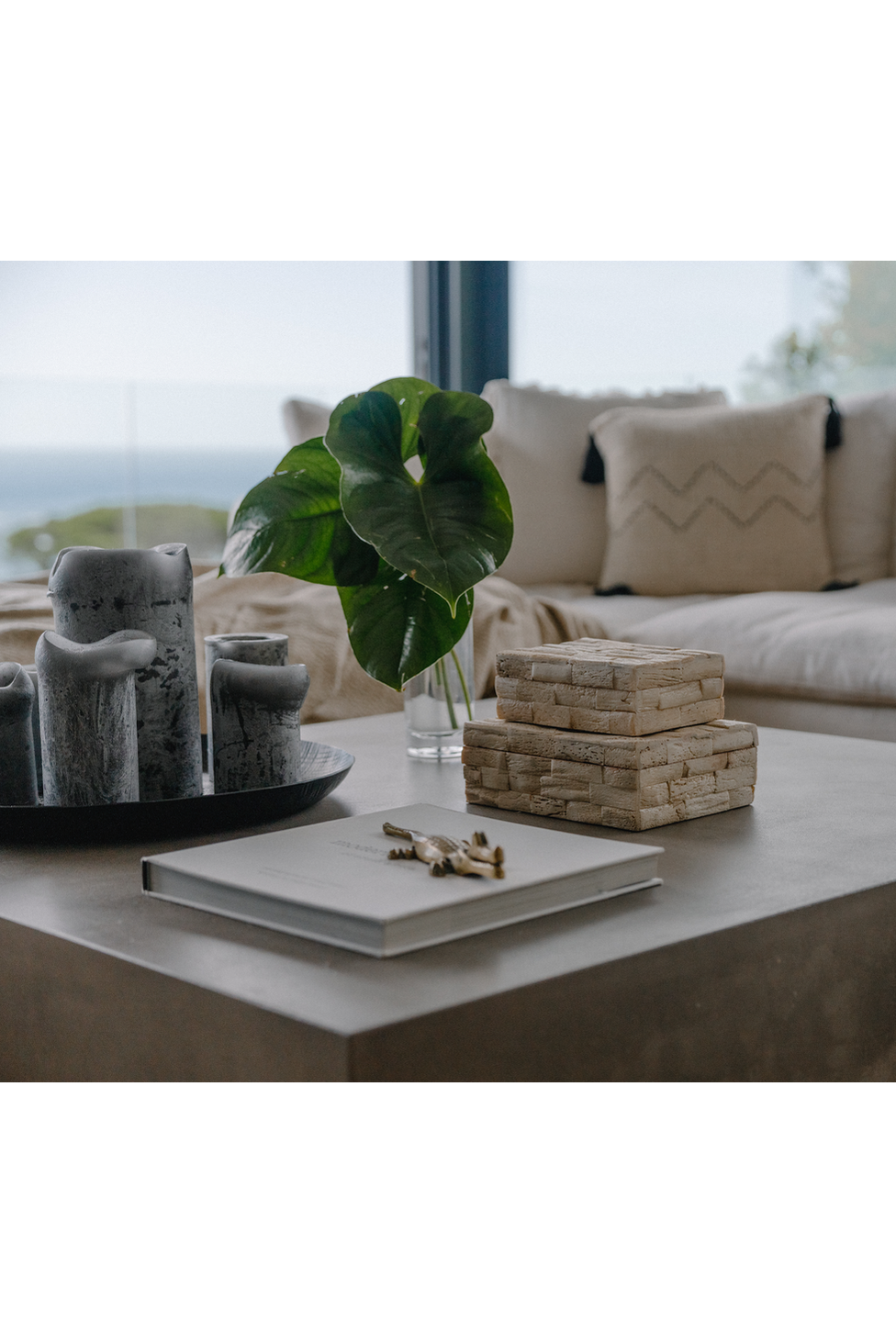 Coastal storage box