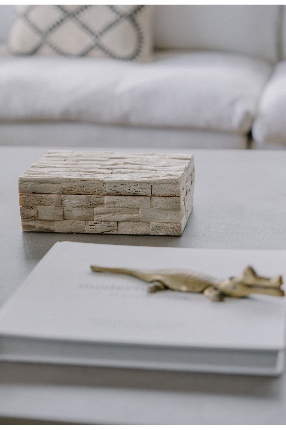 Coastal storage box