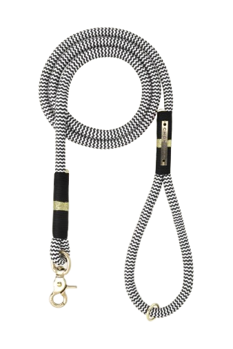 Everyday Dog Leash - Black Stripe
