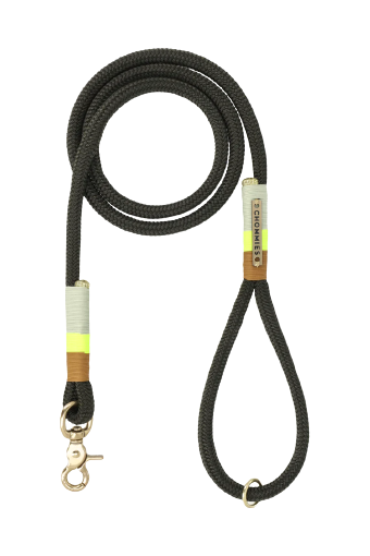 Everyday dog leash - glow in dark