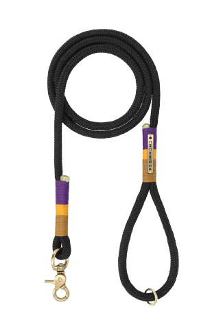 Everyday Dog Leash - Black/Ivory