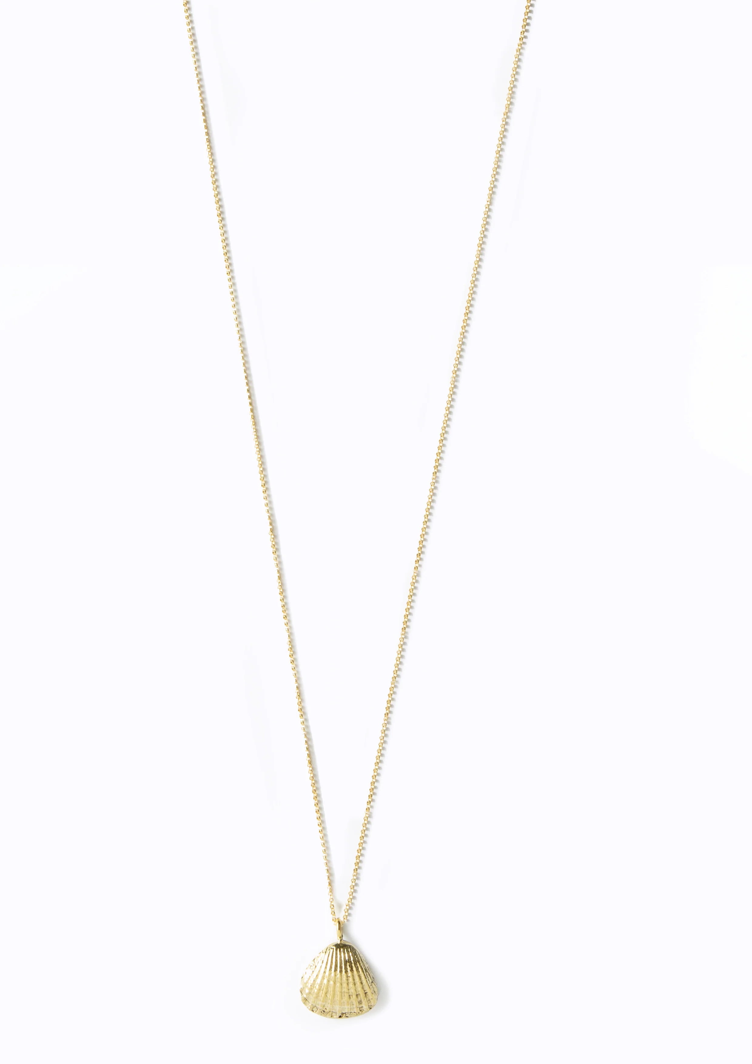 Fan Shell Necklace