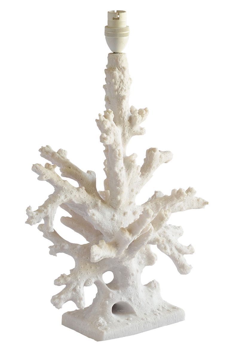 Coral Lamp