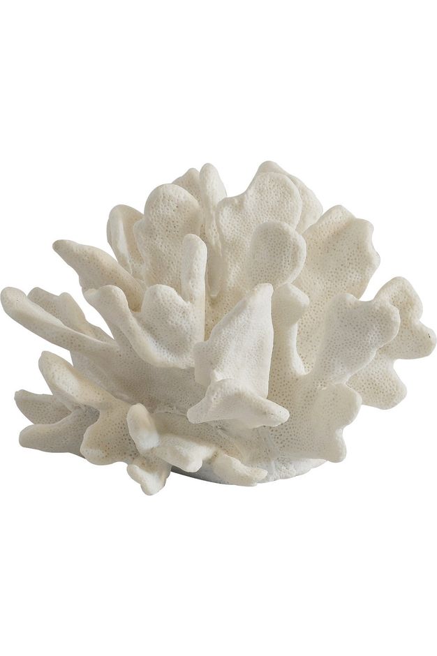 Coral Decor