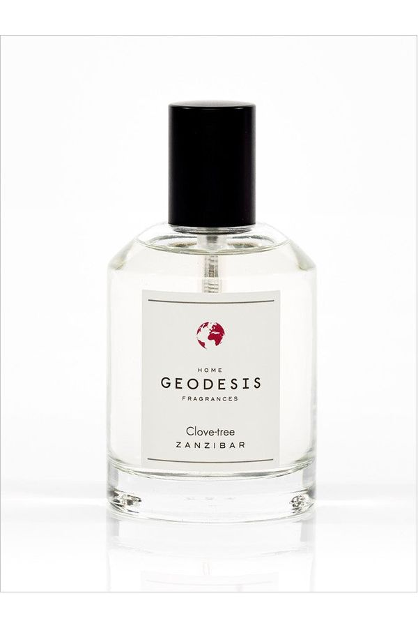 Geodesis - Room Spray