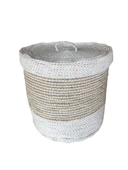 Laundry/storage basket with lid