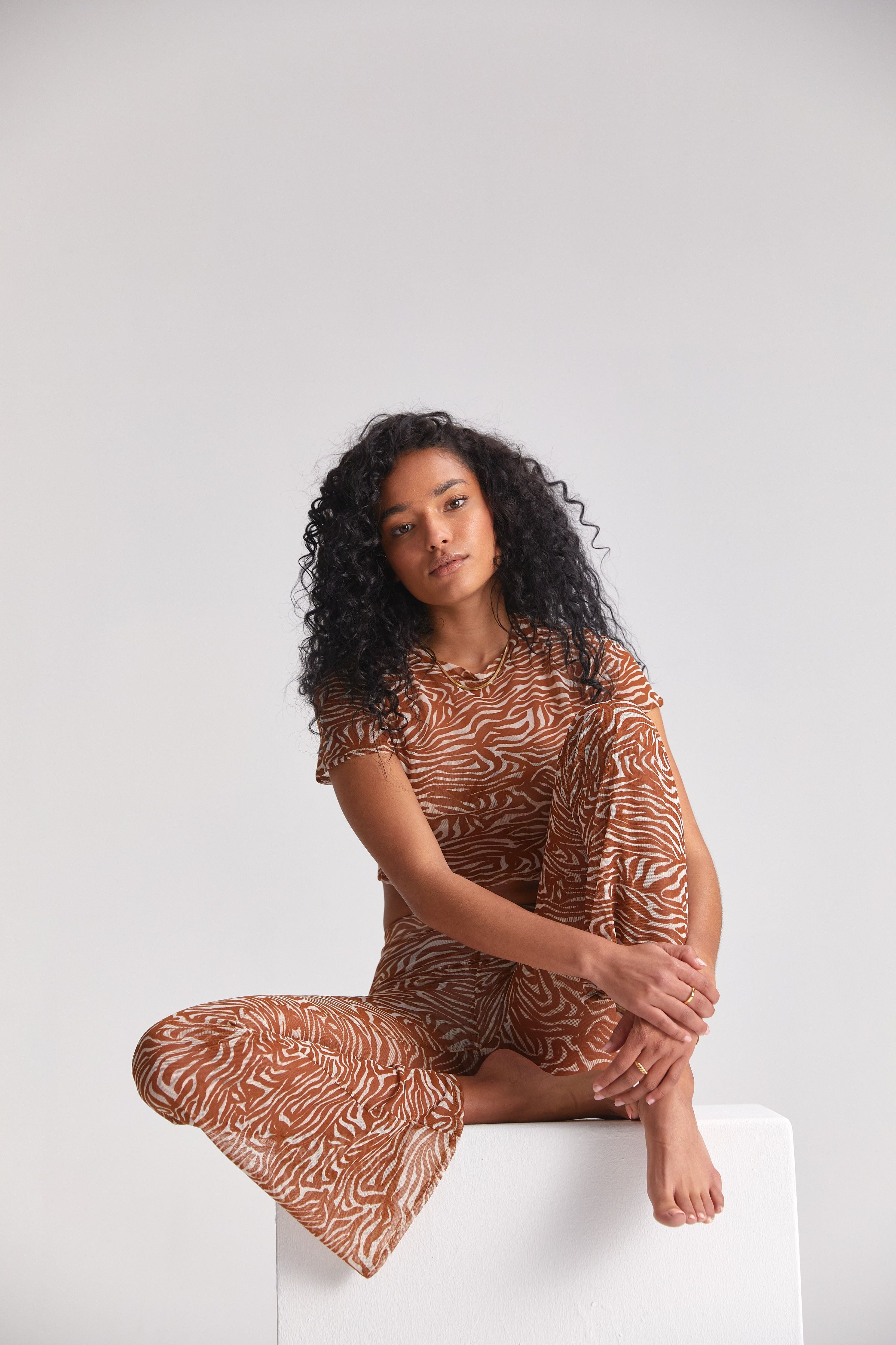 Festi mesh zebra set