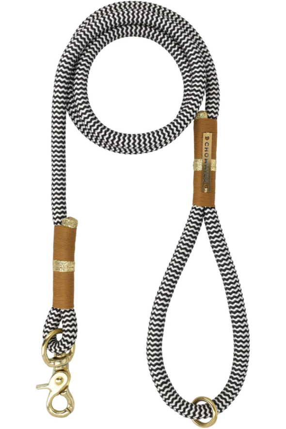 Everyday Dog Leash - Cognac