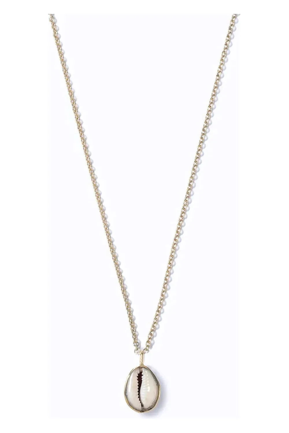Cowrie Shell Necklace