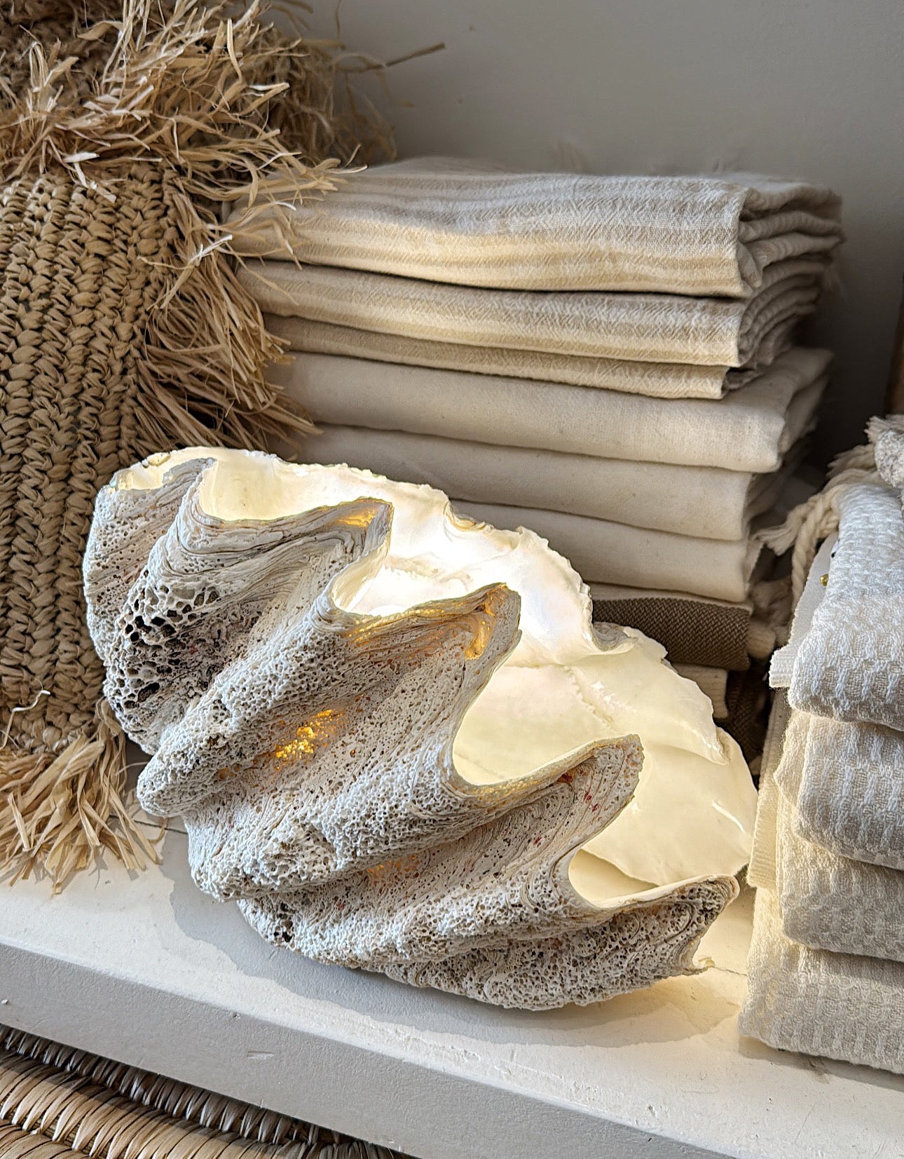 Clam Shell Lights