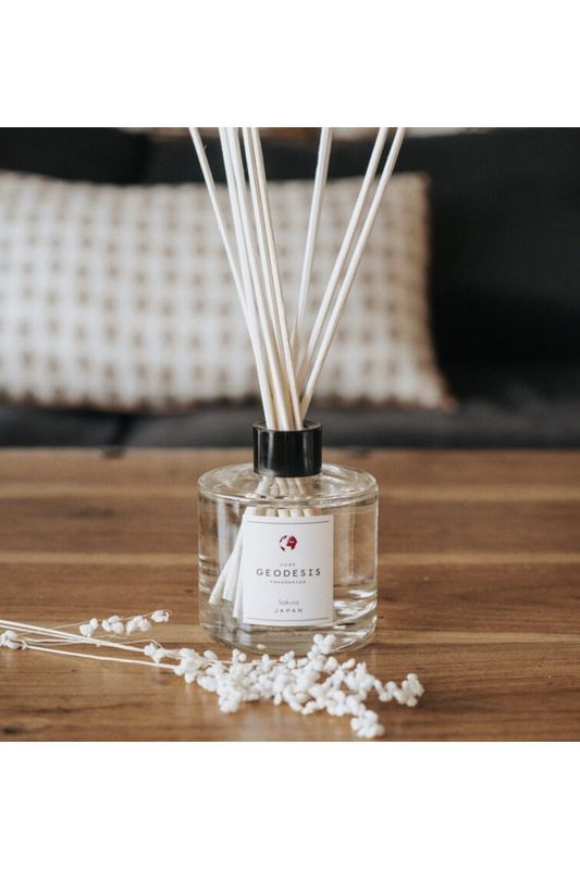 Geodesis - Diffuser Refill