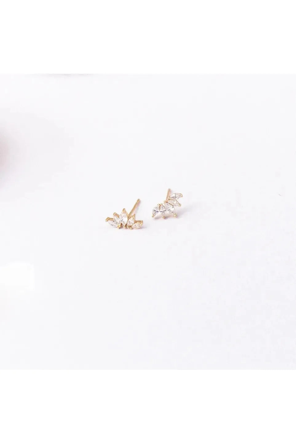Lions Eye Studs