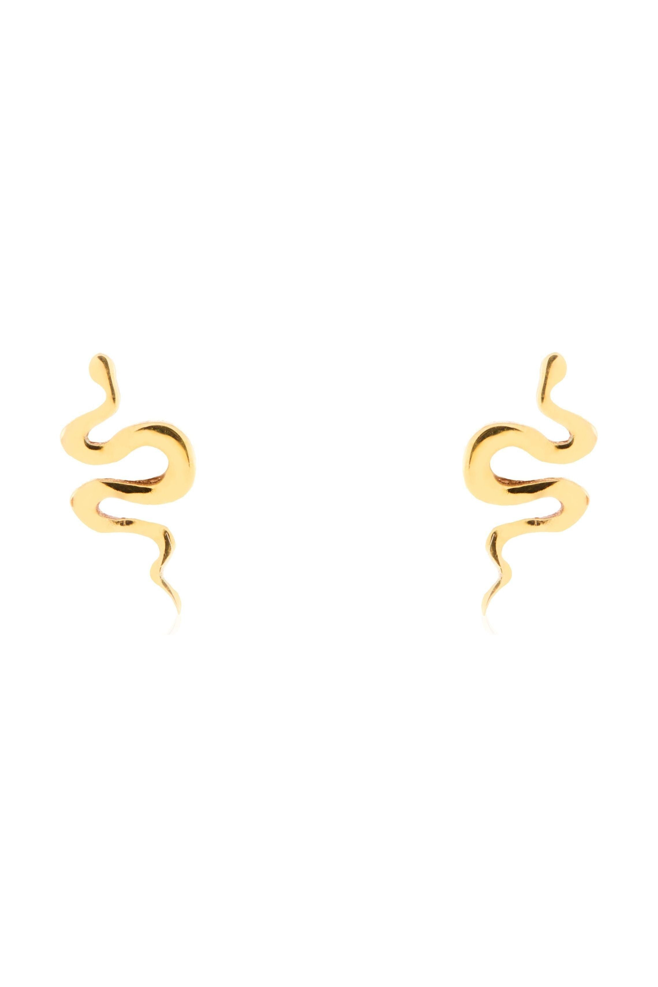 Tiny snake studs