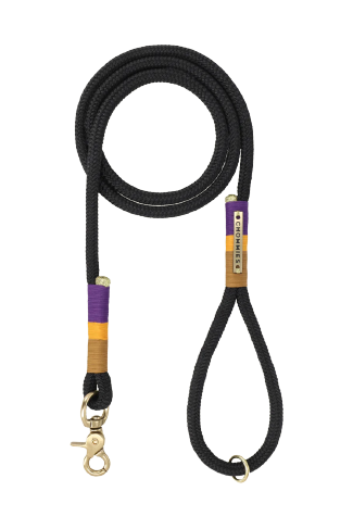 Everyday dog leash - black ivory