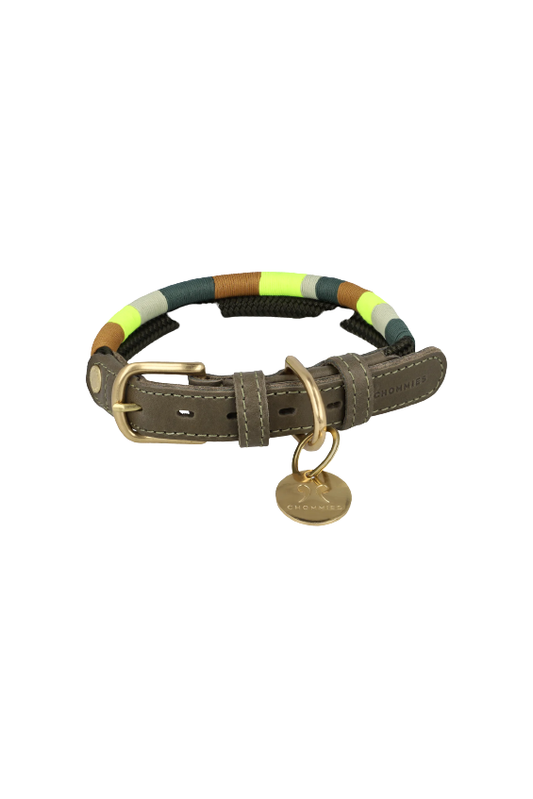 Dog collar adjustable - olive glow in dark