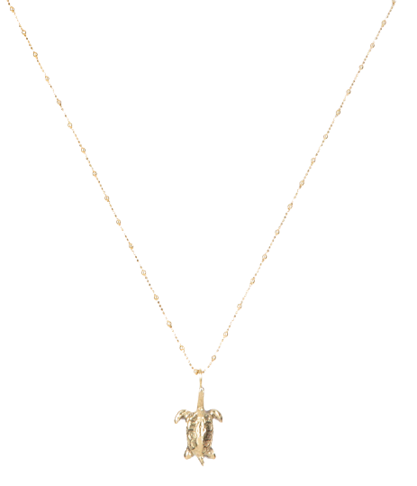 Turtle Necklace