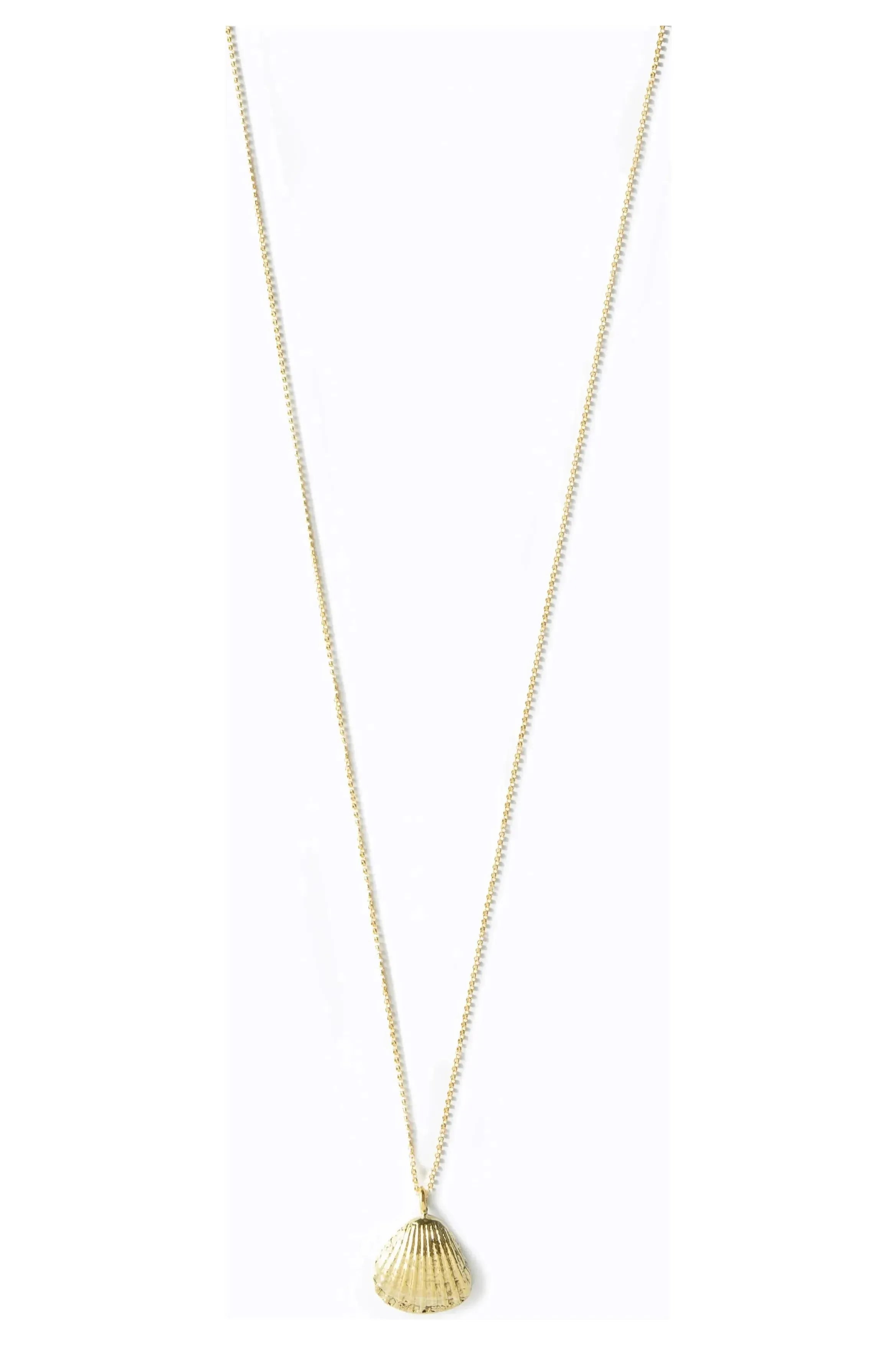 Fan Shell Necklace
