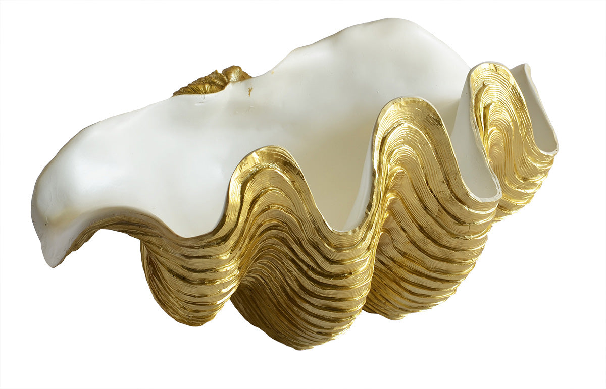 Giant Clam Shell