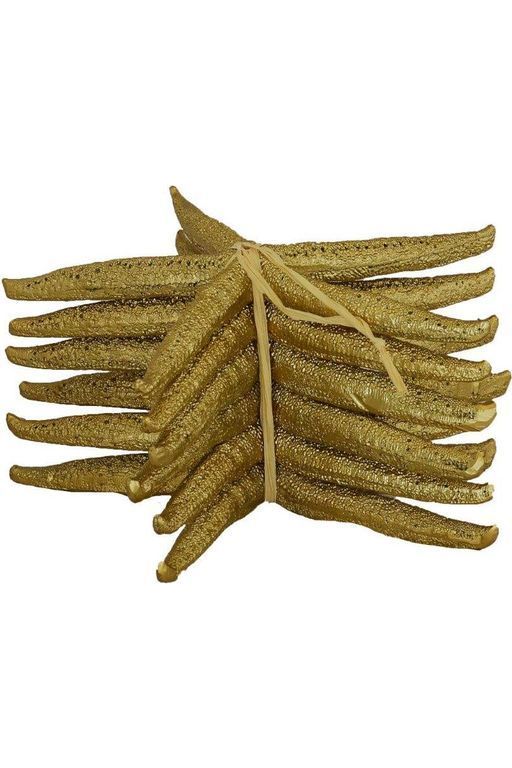 Starfish Decor