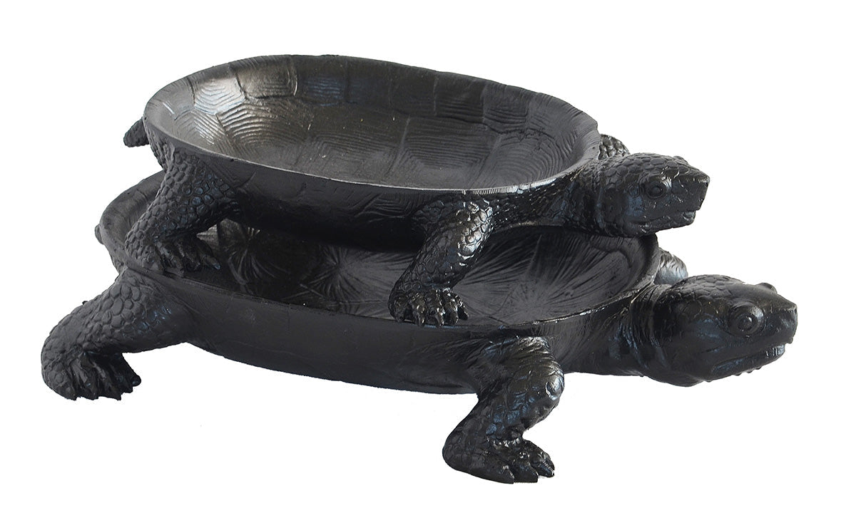 Turtle Platter