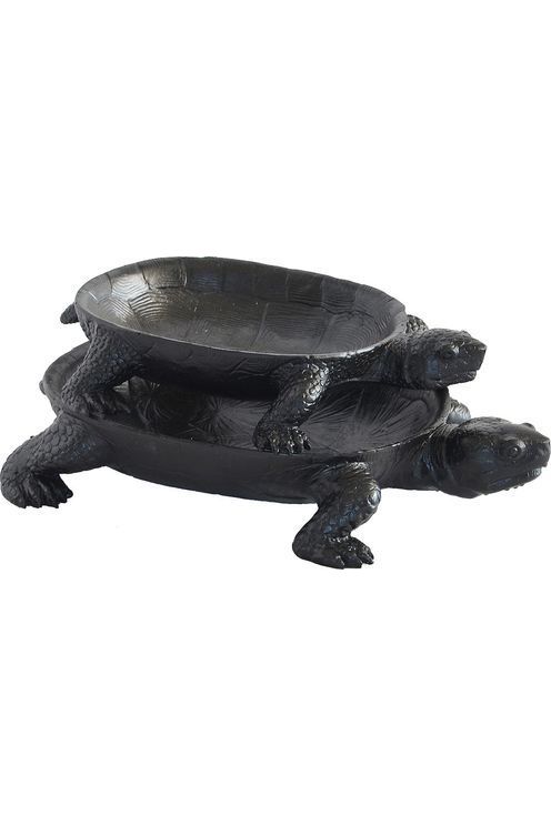 Turtle Platter