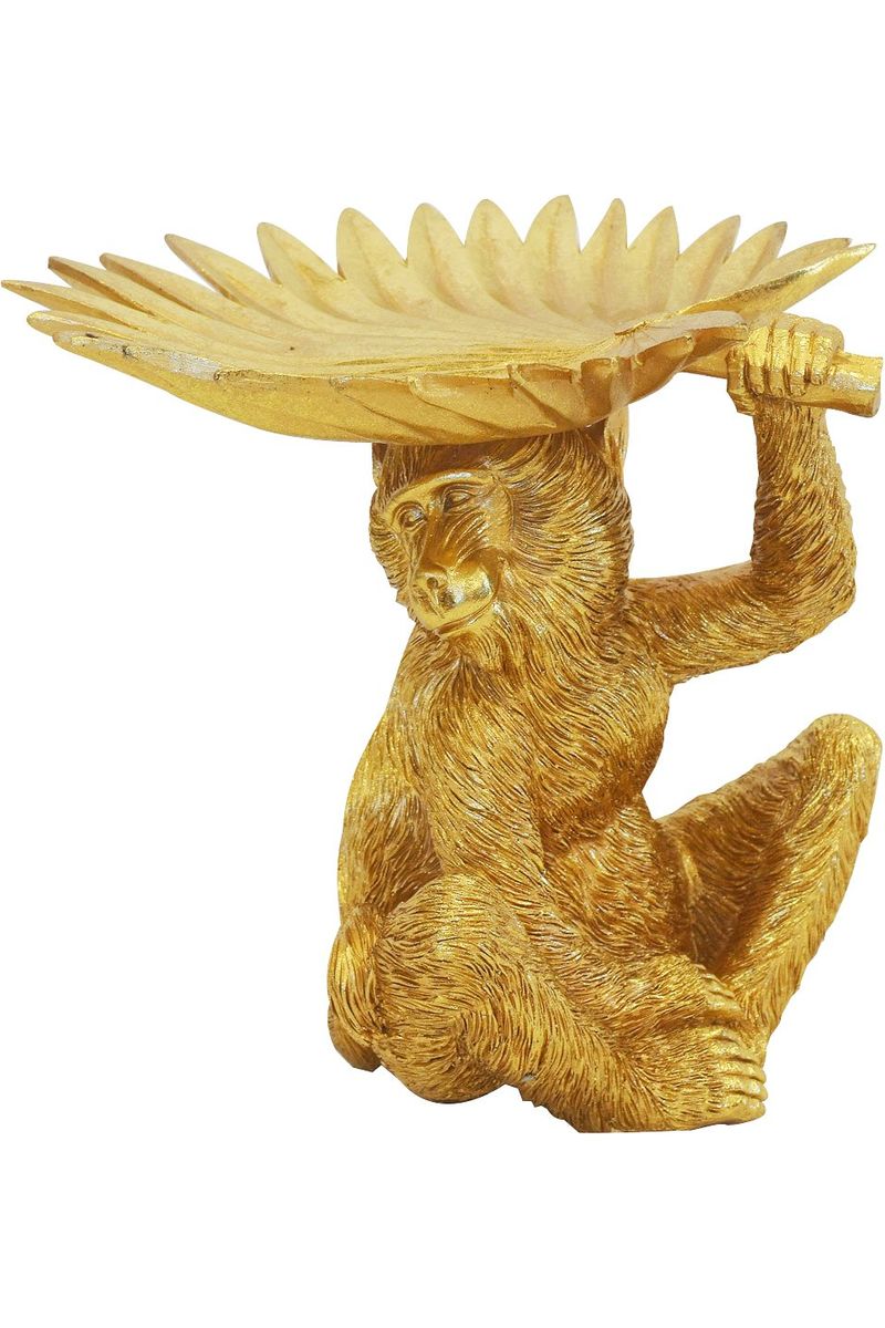Monkey palm