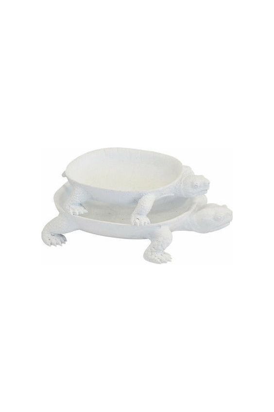 Turtle platter