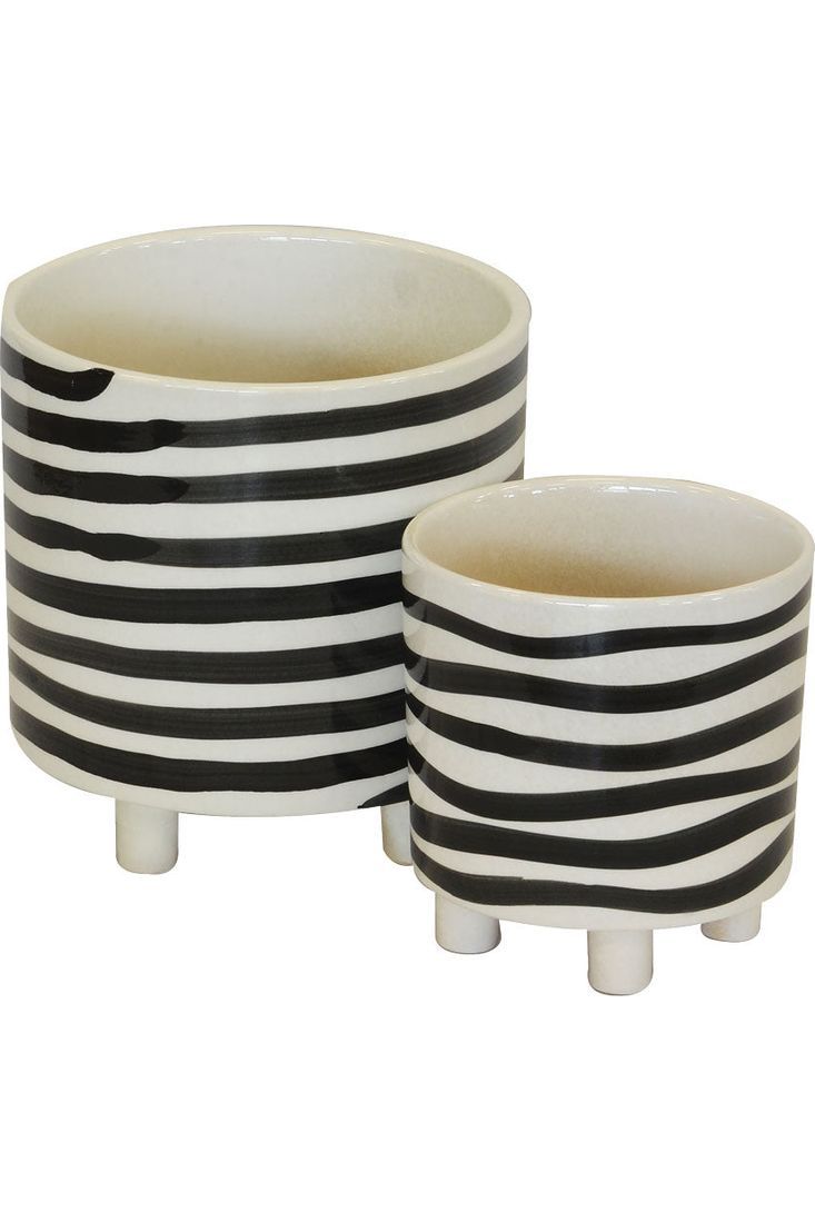 Plant holder - zebra