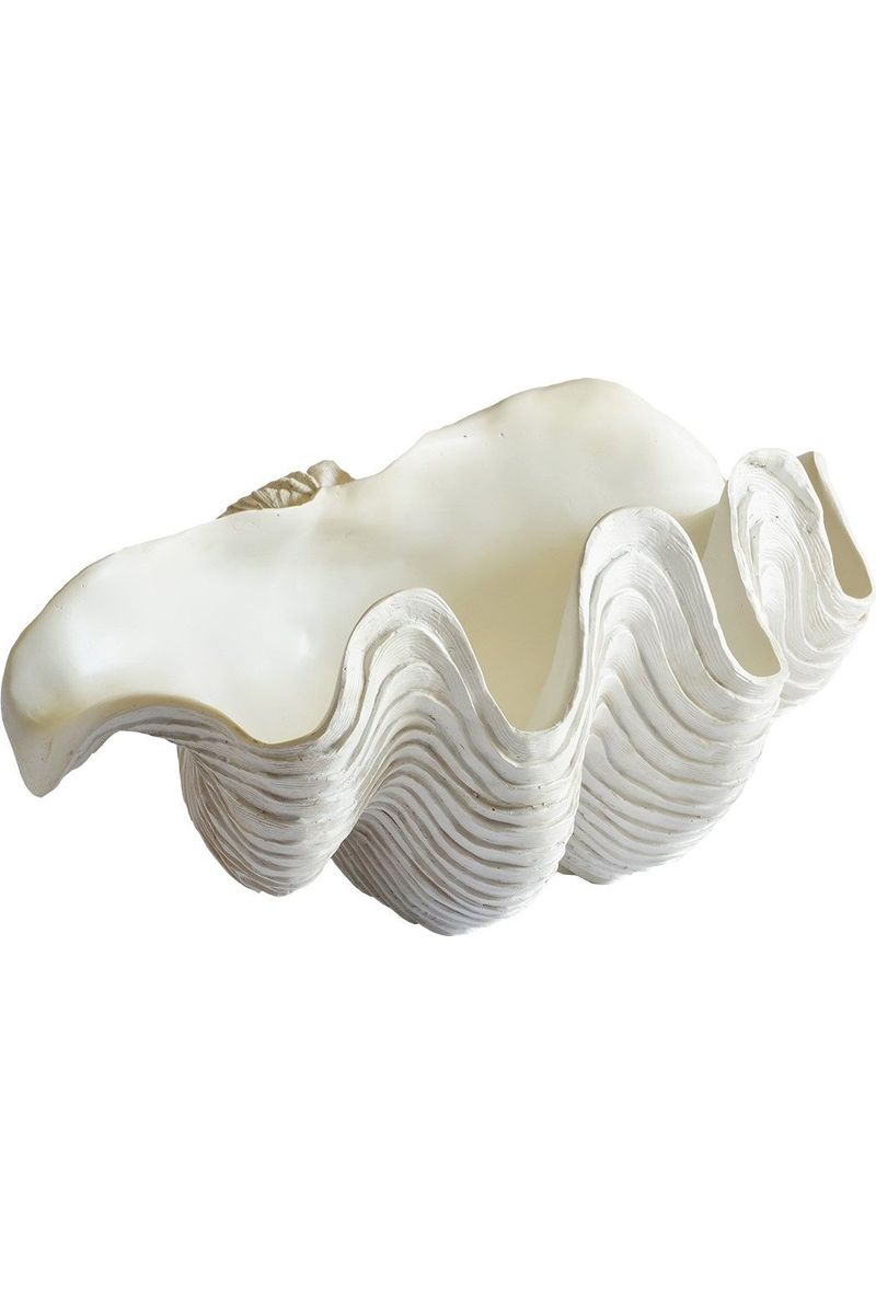 Giant Clam Shell - White