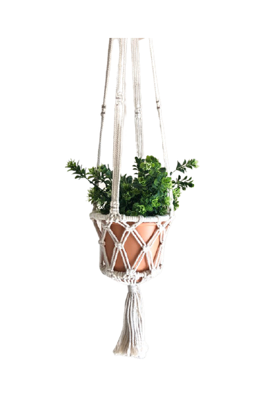 Macrame plant hangers