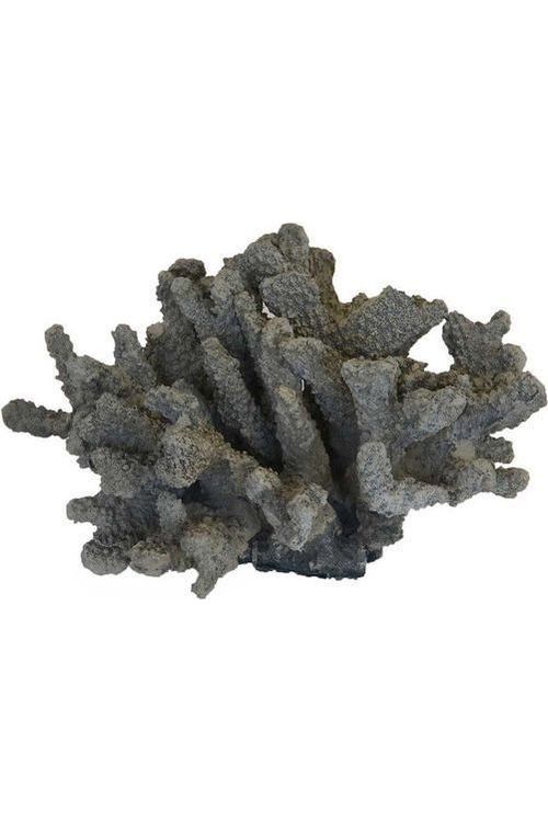 Classic Coral Decor