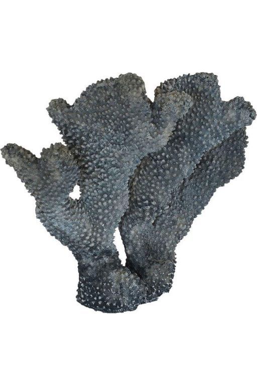 Coral tall