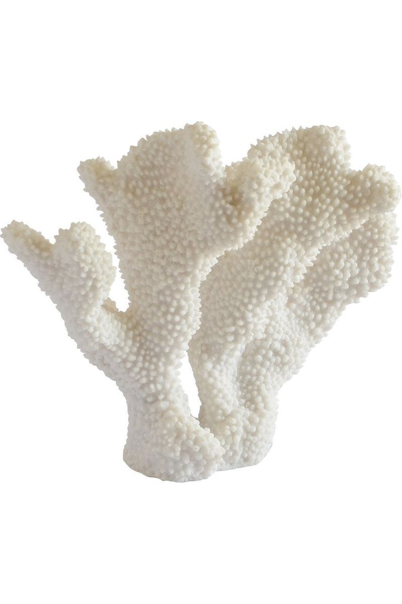 Coral tall